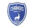 Chamois